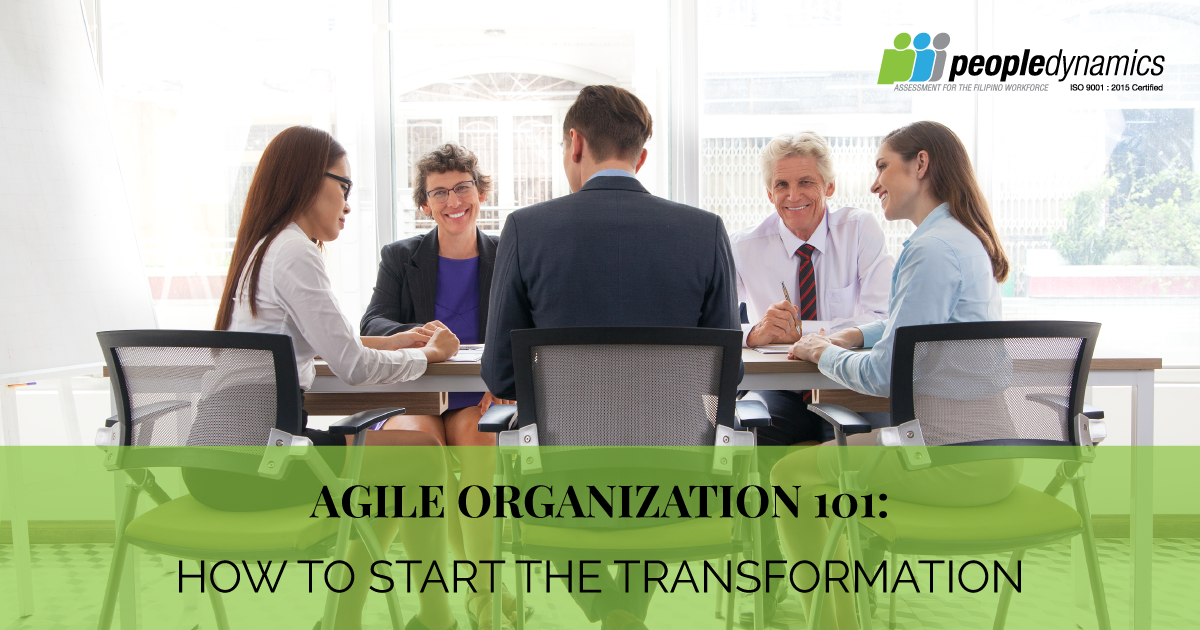 Agile Organization 101