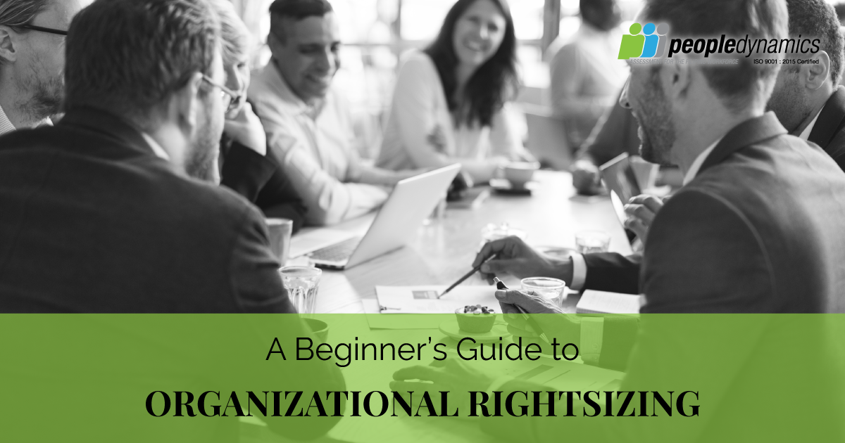 Organizational Rightsizing: A Beginner's Guide